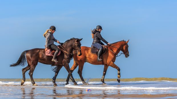 Paardrijden op het strand in Noordwijk Katwijk