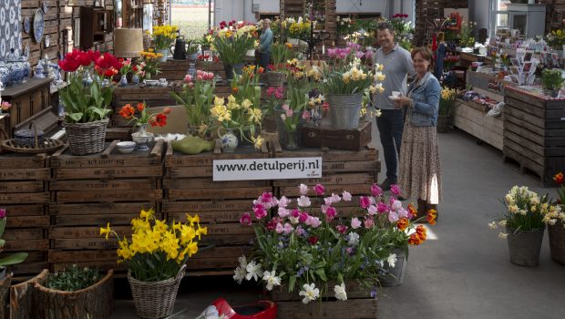 De Tulperij in Voorhout