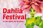 Dahlia Festival 2022